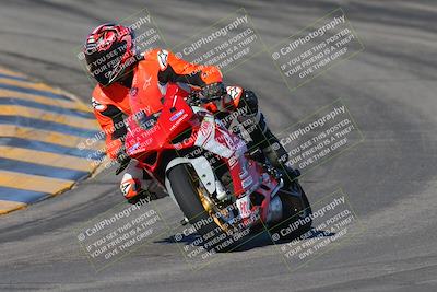 media/Dec-09-2023-SoCal Trackdays (Sat) [[76a8ac2686]]/Turns 9 and 10 (10am)/